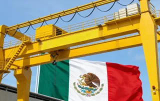 grúas viajeras mexicanas